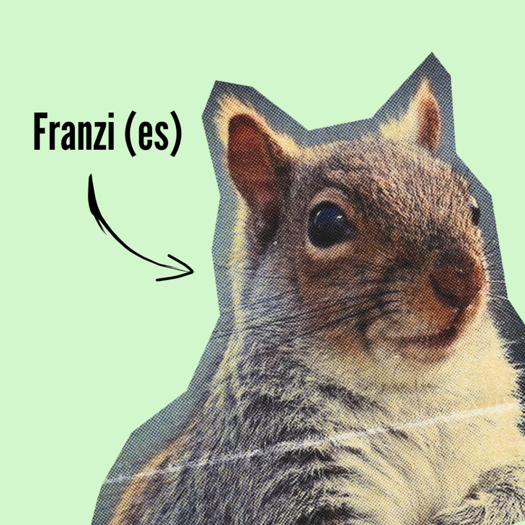 Das ist Franzi, das Eichhörnchen. Franzi wohnt gegenüber der Kobel13 in seinem Kobel, der Kobel12.