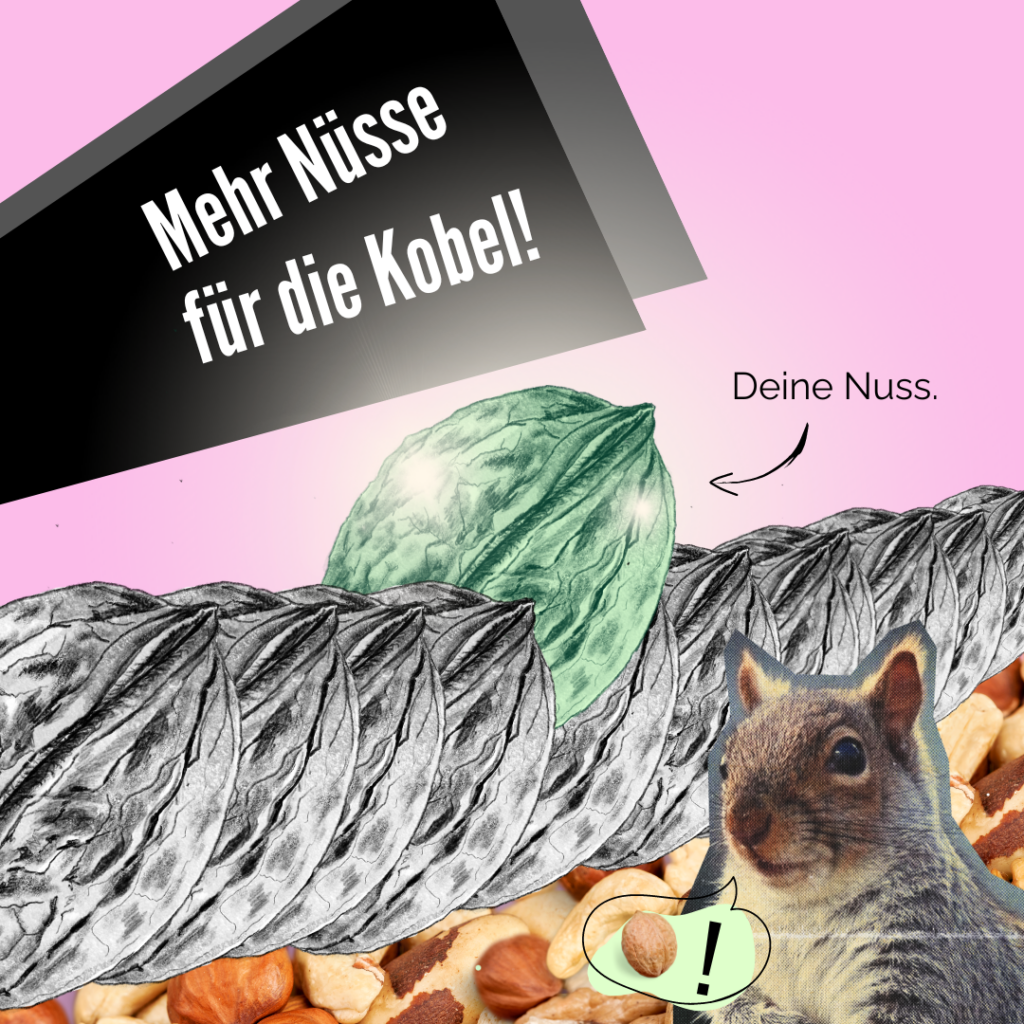 Mach es wie Franzi und leihe uns dein Geld! Deine Nuss unterstützt uns dabei die Kobel13 nachhaltig und energetisch zu sanieren und langfristig bewohnbar zu machen. Melde dich bei uns über unser Kontaktformular oder per Mail (hallo@kobel13.de). Franzi und wir freuen uns!